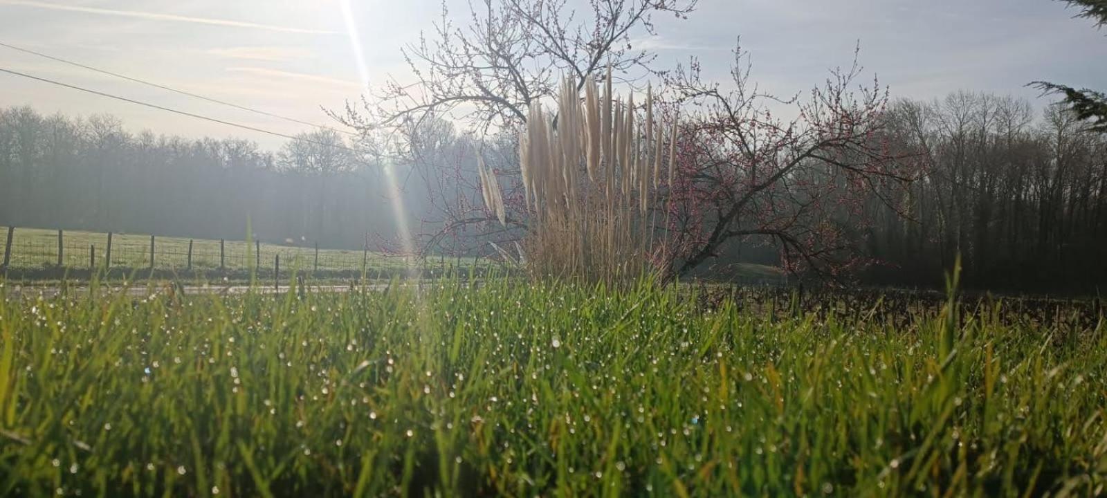 Pleine Nature, 10 Min Zoo Beauval Mareuil Sur Cher Exterior foto