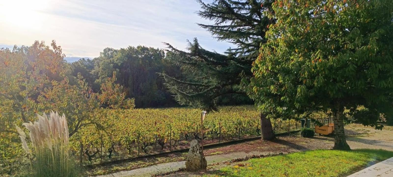 Pleine Nature, 10 Min Zoo Beauval Mareuil Sur Cher Exterior foto